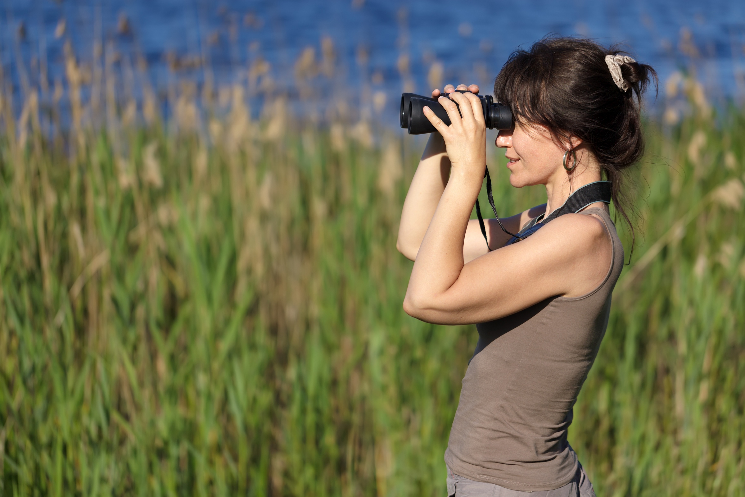 Birding, Beautiful recreational activity