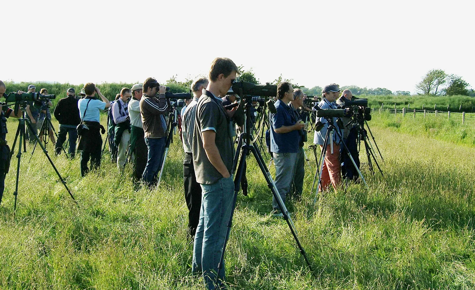 Birding, Beautiful recreational activity