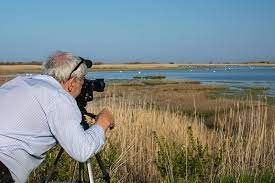 Birding, Beautiful recreational activity