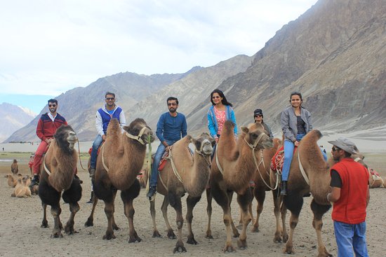 Camel Safari, Activity on the Back of Camel