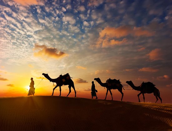 Camel Safari, Activity on the Back of Camel