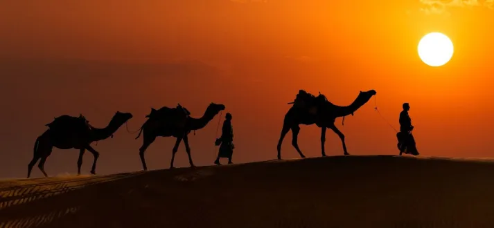 Camel Safari, Activity on the Back of Camel