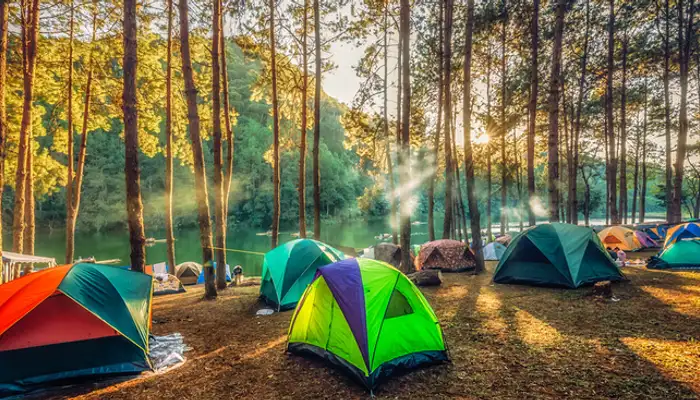 Camping in Rishikesh