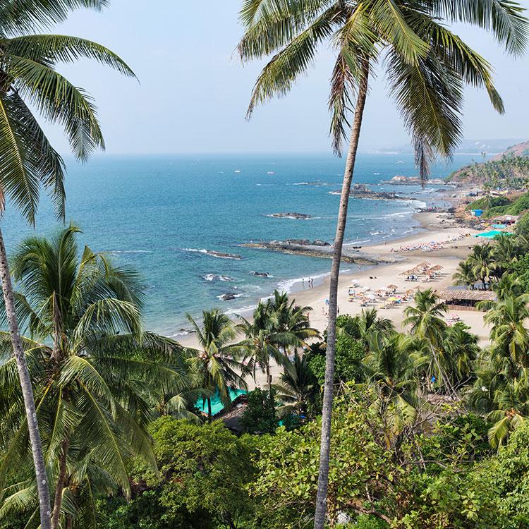Goa: A Perfect Beach Destination
