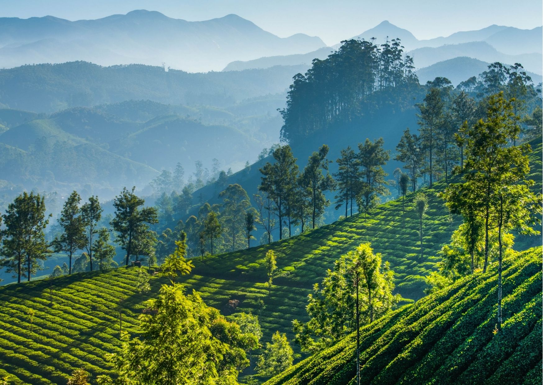 Kerala Tour