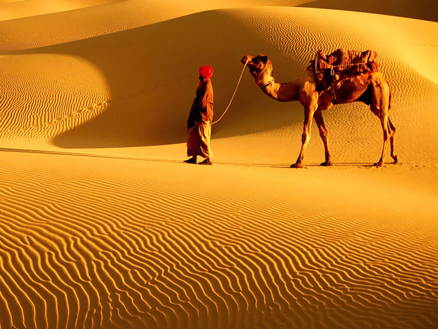 Rajasthan Tour