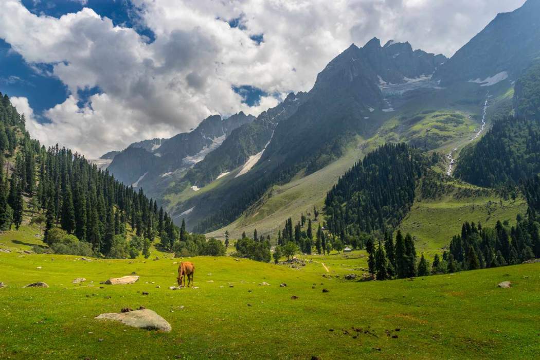 Jammu and Kashmir - Paradise on Earth