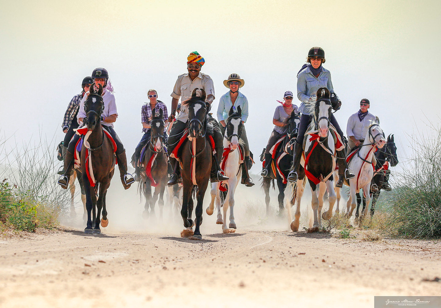 Horse Safari, Feel Like the King on the Horseback