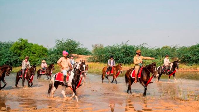 Horse Safari, Feel Like the King on the Horseback