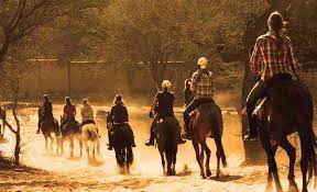 Horse Safari, Feel Like the King on the Horseback
