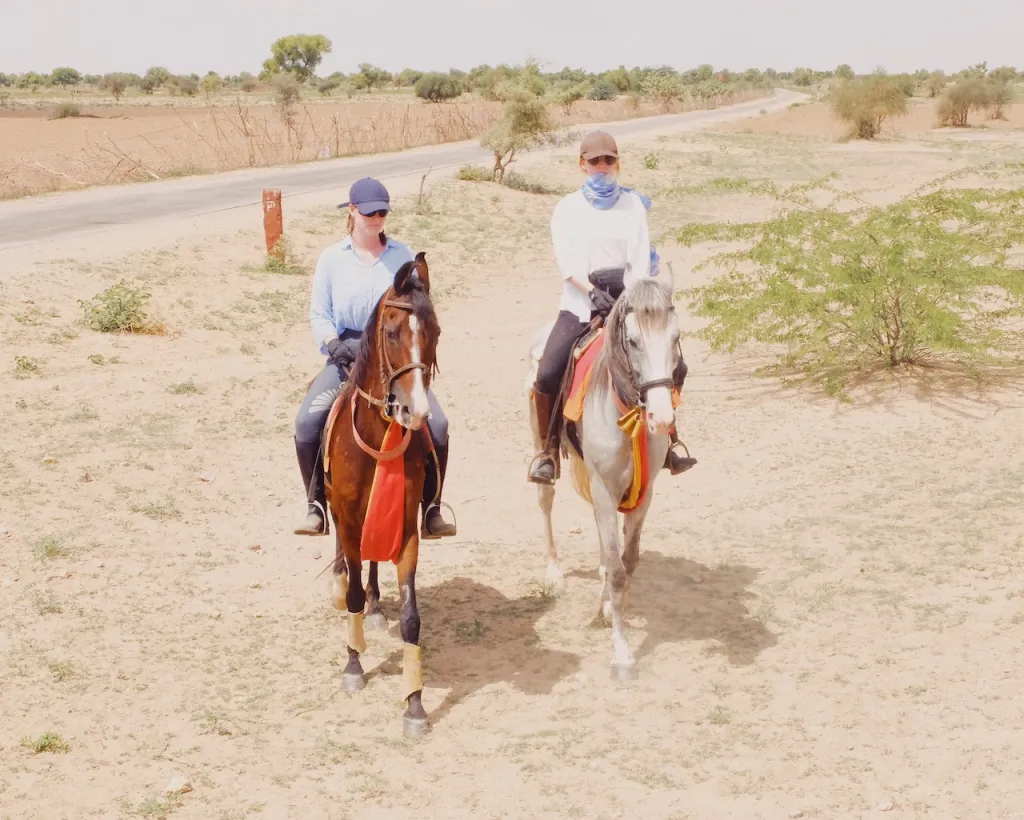 Horse Safari, Feel Like the King on the Horseback