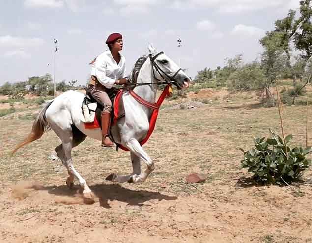 Horse Safari, Feel Like the King on the Horseback