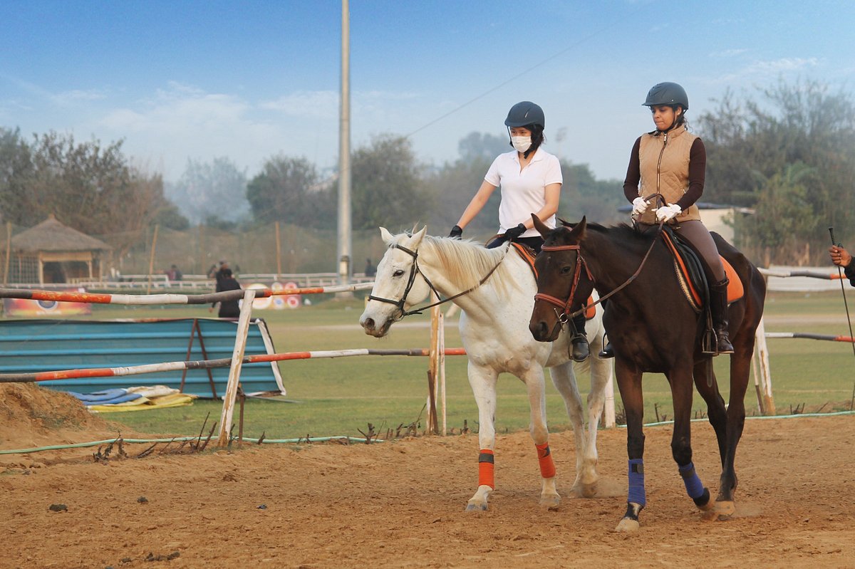 Horse Safari