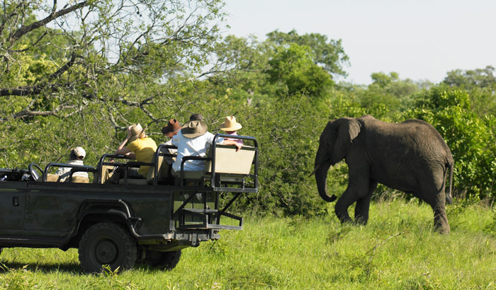 Jeep Safari, Beautiful Way to Travel on Road