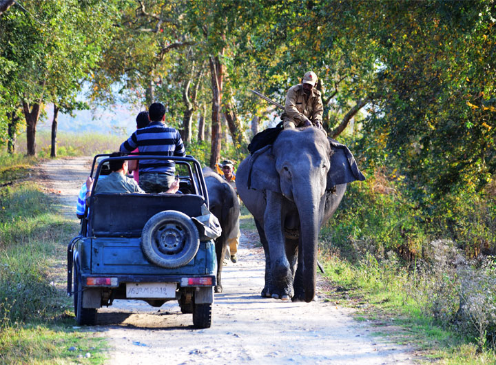 Jeep Safari, Beautiful Way to Travel on Road