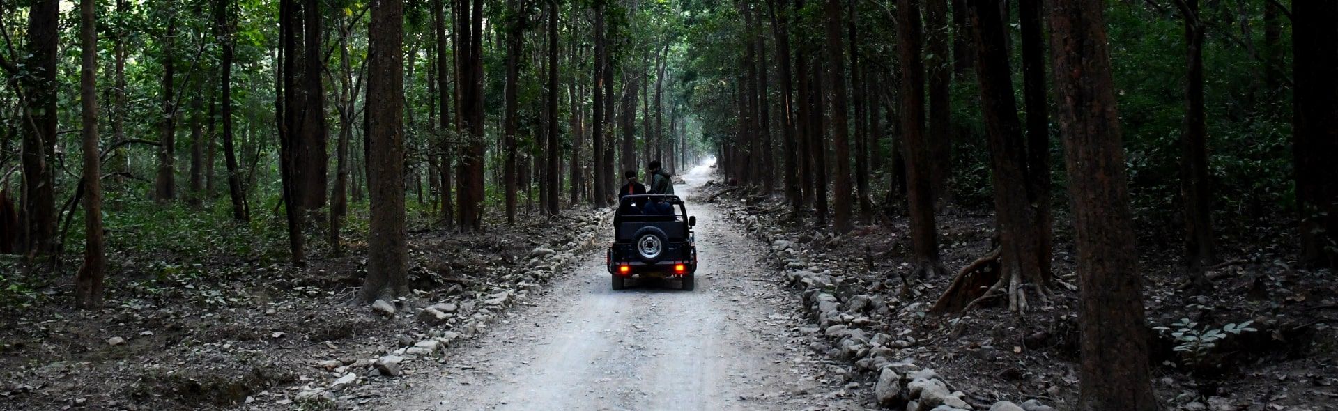 Jeep Safari, Beautiful Way to Travel on Road