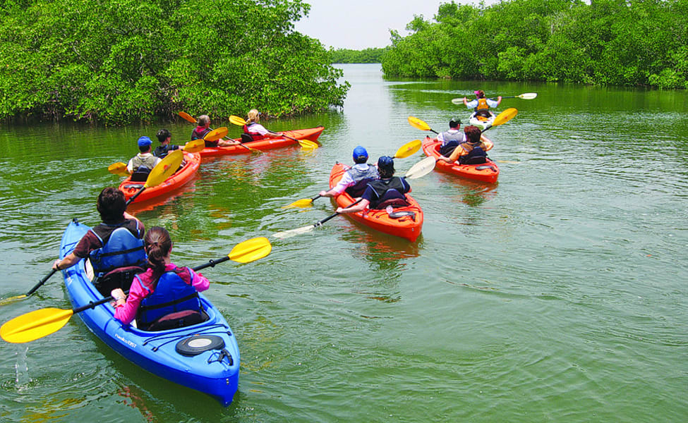 Kayaking, Sports of moving over water