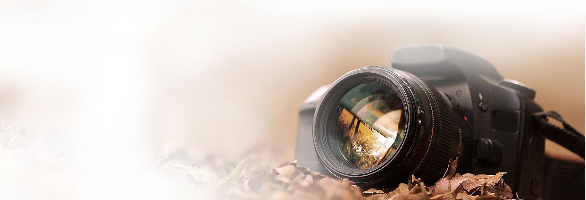 Outdoor Photography, Experience and Memories Created on Out Locations