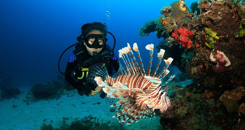 Scuba Diving, Adventure Under Water