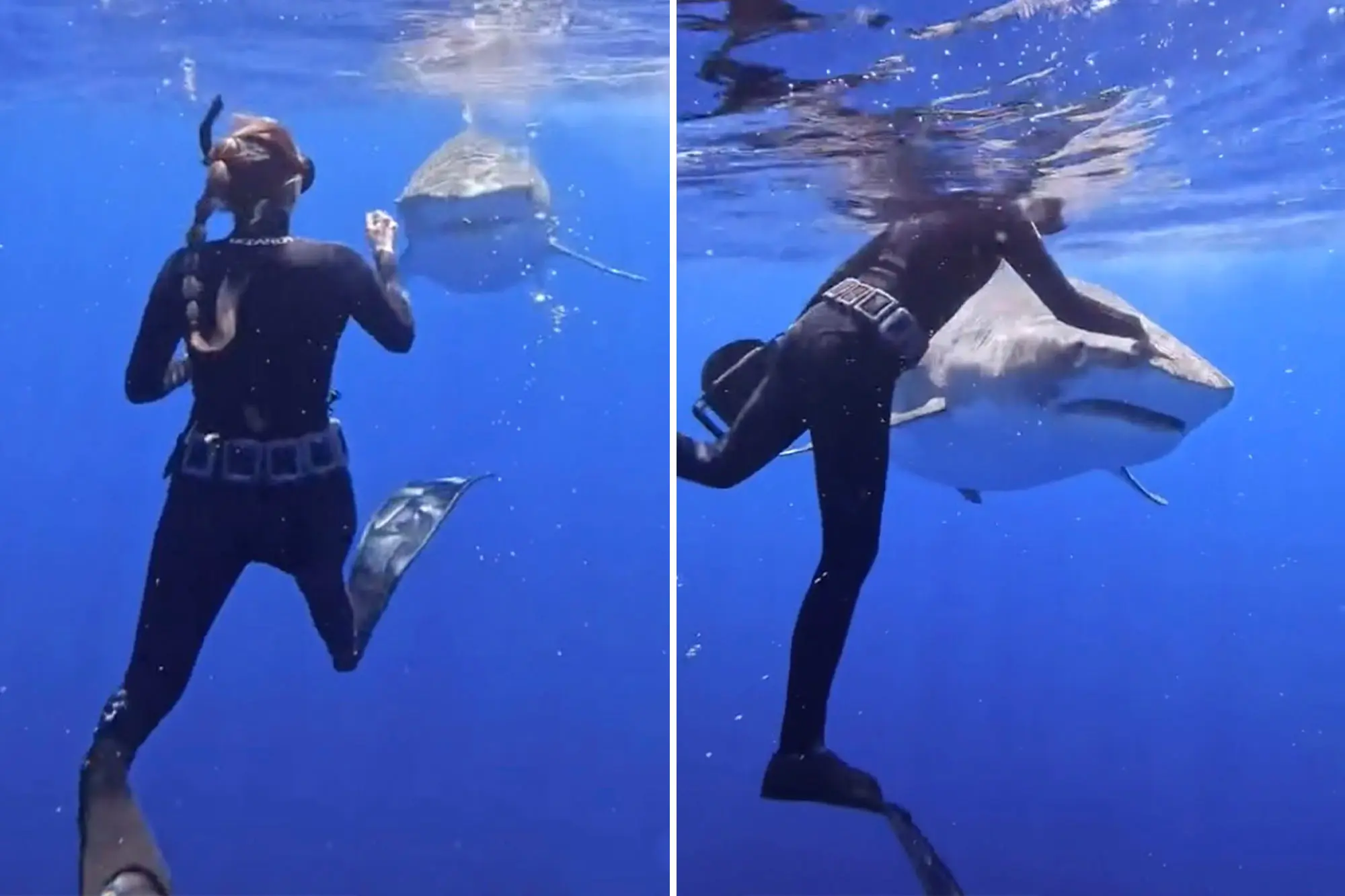 Scuba Diving, Adventure Under Water