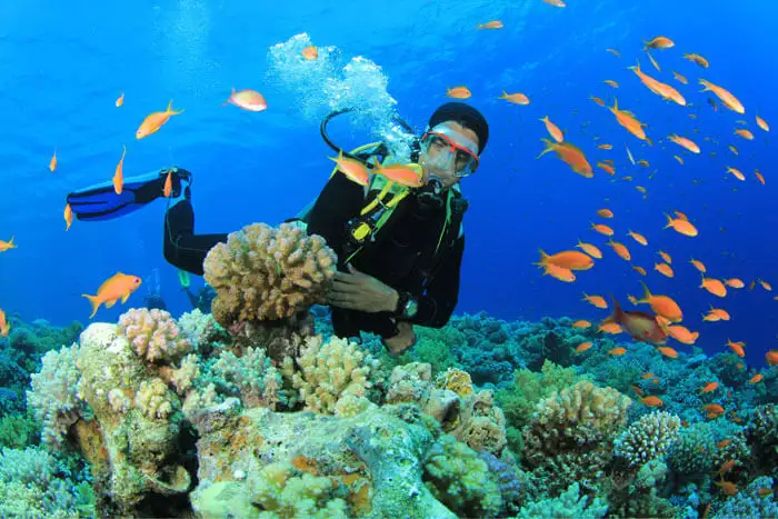 Scuba Diving, Adventure Under Water