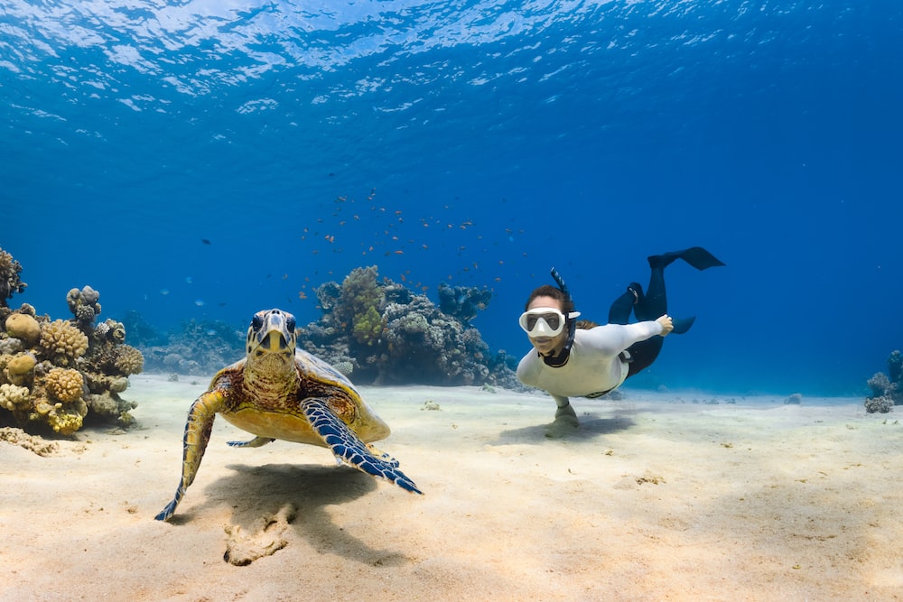Scuba Diving, Adventure Under Water