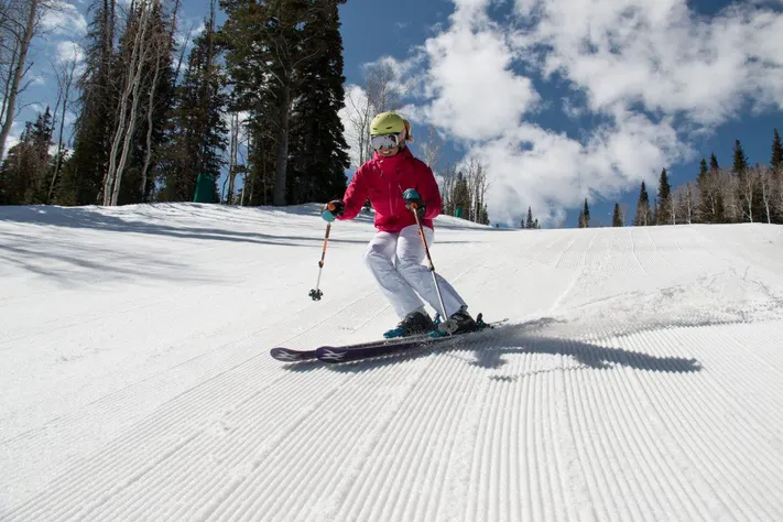 Skiing, Sport of Winter, Sport of Snow