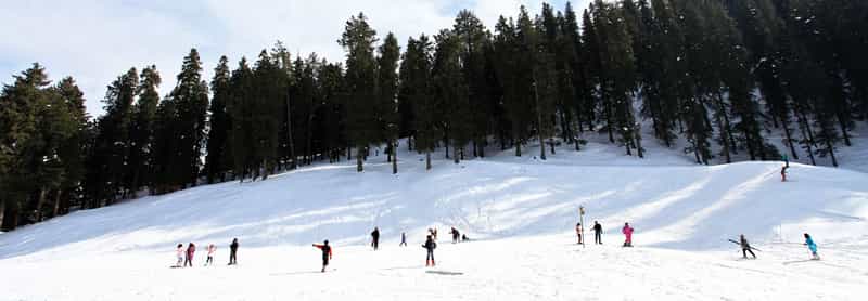 Skiing, Sport of Winter, Sport of Snow