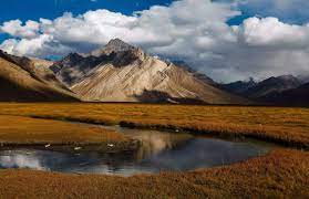 Stay, Eat & Permit in Leh Ladakh