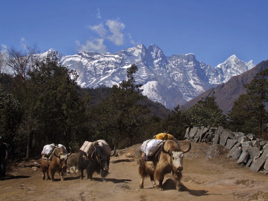 Trekking, Tour Activity to Explore Yourself