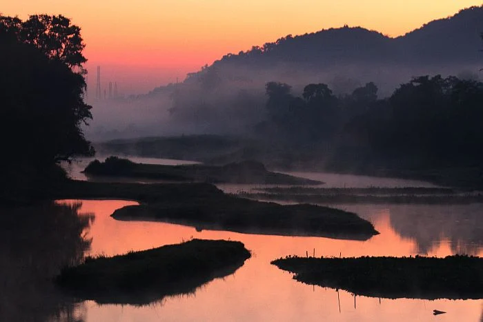 Wildlife Safari, Adventure in the Middle of Forest