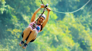 Zip Line